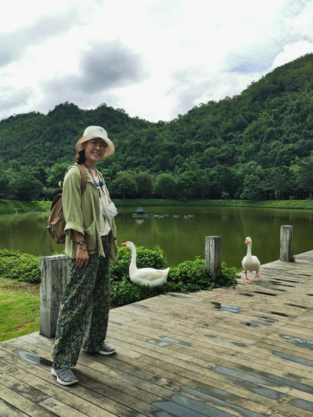 🧈 CHAN Nature Cafe