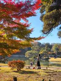 景點推薦：六義園——秋日東京的庭園秘境