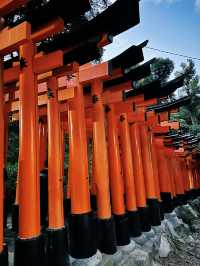 ⛩️SHRINE-ing in Kyoto | Fushimi Inari Taisha 🇯🇵 