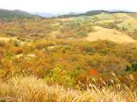 【熊本県】古代巨石ミステリーと絶景紅葉！押戸石の丘