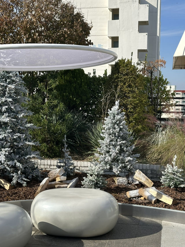 🎄크리스마스 분위기 물씬 풍기는 🌟강남구 청담동 여행지 추천 ❤️