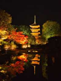 【紅葉特集】京都で建造物と紅葉のリフレクションを撮るならここ📸