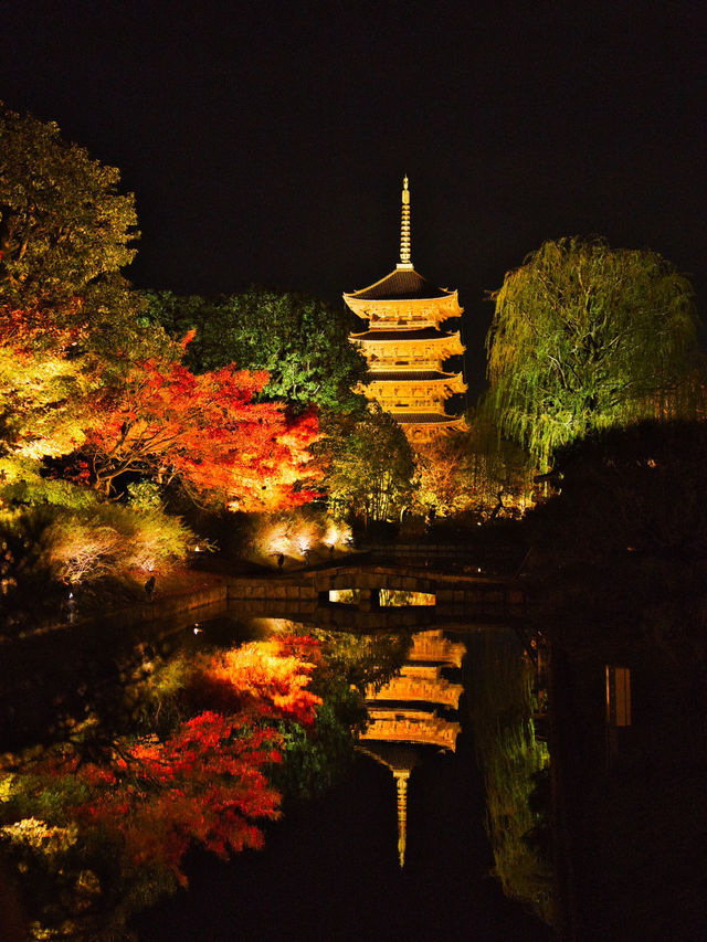 【紅葉特集】京都で建造物と紅葉のリフレクションを撮るならここ📸
