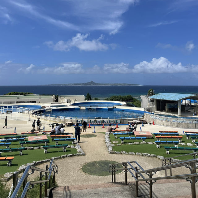 🇯🇵沖縄　📍美ら海水族館