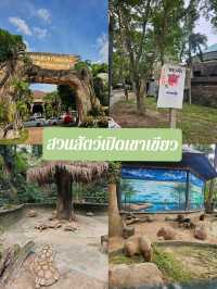สวนสัตว์เปิดเขาเขียว: ประสบการณ์ใกล้ชิดสัตว์โลก
