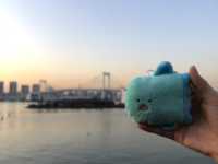 도쿄 야경을 볼 수 있는 곳🌃