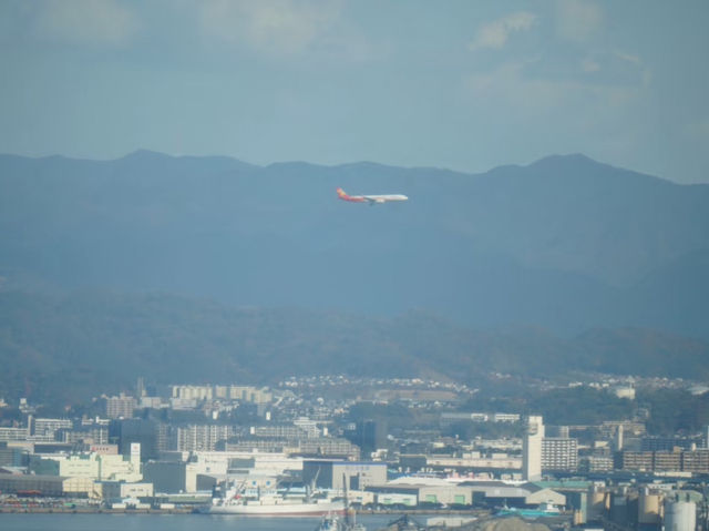 居高臨下的壯麗景色🥰福岡塔全攻略❤️