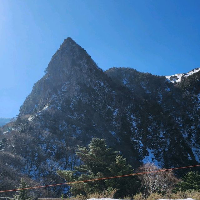 제주 O일 여행 가이드