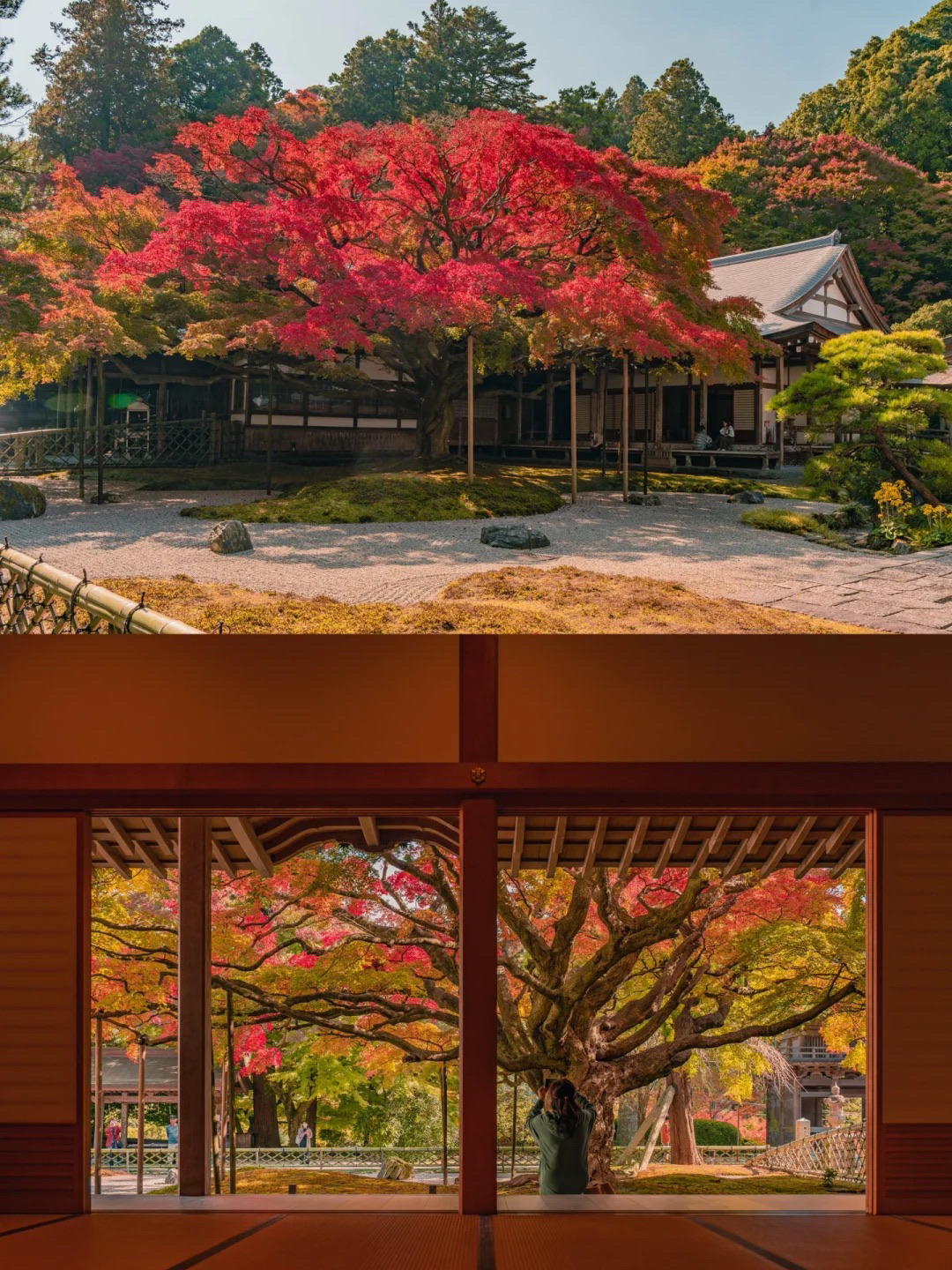 Raizan Sennyoji Temple: A Fukuoka Autumn Foliage Spot and Ancient Zen Sanctuary