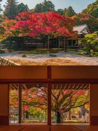 景點推薦：雷山千如寺——福岡紅葉名所與古老禪境