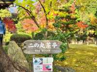 秋天の名古屋城