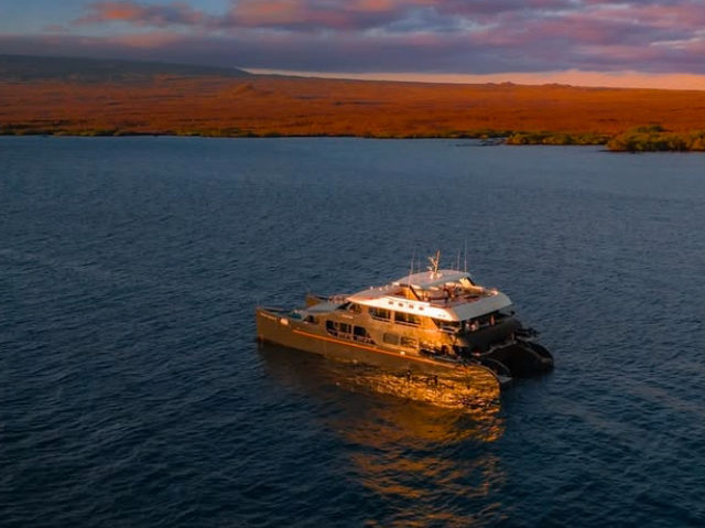 Why Animal Lovers Need to Pack Their Bags for the Galápagos 🦅