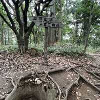 ⛰️【摩耶山】　神戸