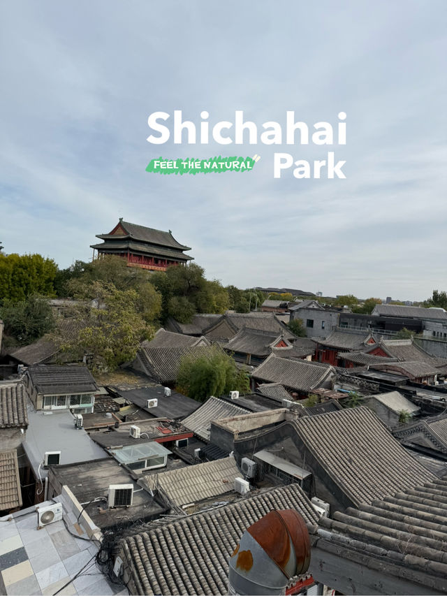 เดินเล่นย่าน Shichahai ในปักกิ่ง