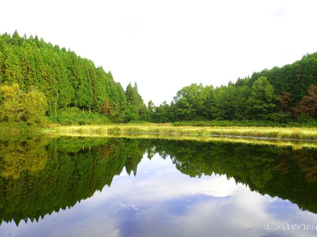 【奈良県】龍が眠る池「龍王ヶ淵」