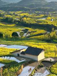 Fengyan Ancient Terraces (凤堰古梯田): A Timeless Agricultural Marvel