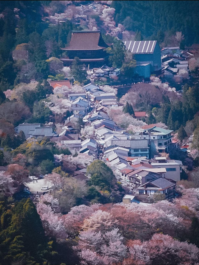 【吉野の桜】一生に一度は見てほしい奈良の絶景桜