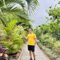 Ca Mau Primeval forest park 