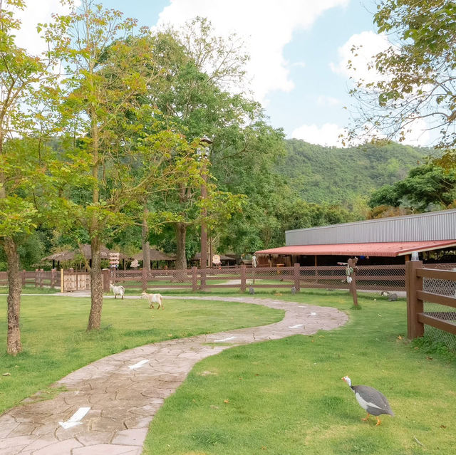 สวนสัตว์สุดคิ้วท์ในสวนผึ้ง 🦙🌲
