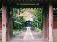 鎌倉🇯🇵壽福寺