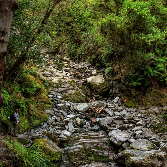 Journey to the Glacier: Exploring Robert’s Point Track🏔️🌿