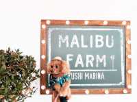 日本初上陸！LA発の人気レストラン『マリブファーム 逗子マリーナ』