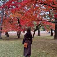 【京都】おすすめの紅葉スポット