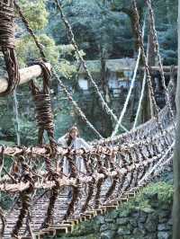 難得一見使用藤蔓搭建而成的這座橋