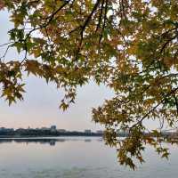 South Lake Park สวนสาธารณะใหญ่ใจกลางเมืองฉางชุน