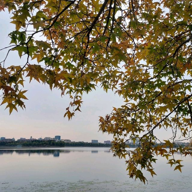 South Lake Park สวนสาธารณะใหญ่ใจกลางเมืองฉางชุน