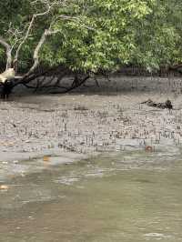 Tung Prong Thong: A Golden Eco-Adventure