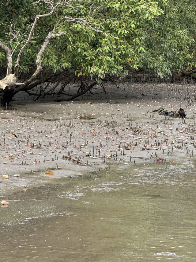 Tung Prong Thong: A Golden Eco-Adventure