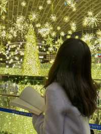 역대급 화려한 코엑스 별마당도서관⭐️