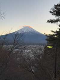 Arakurayama Sengen Park