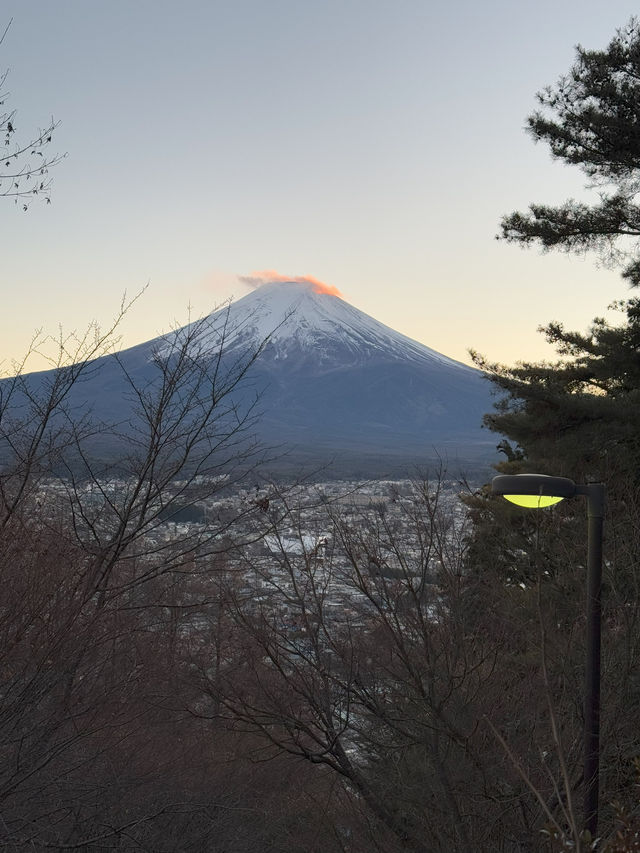 Arakurayama Sengen Park