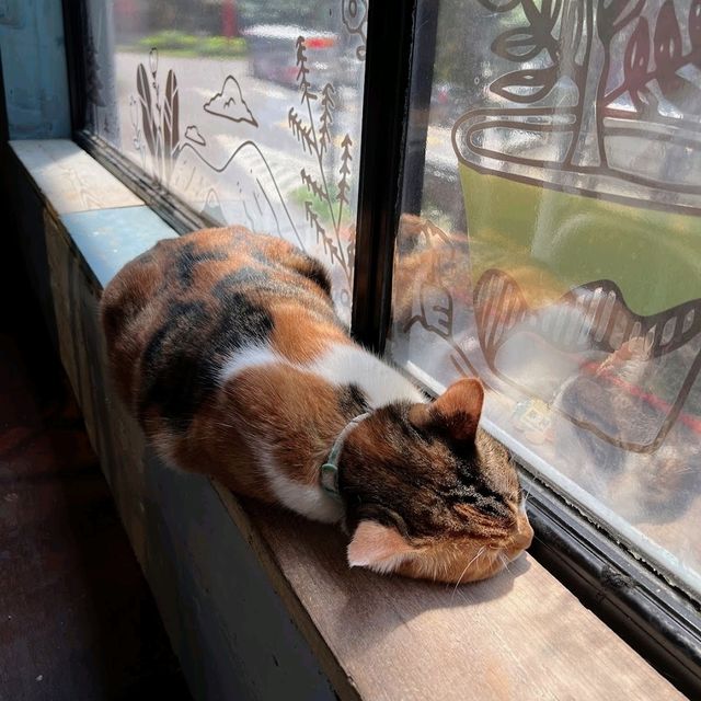 cute
