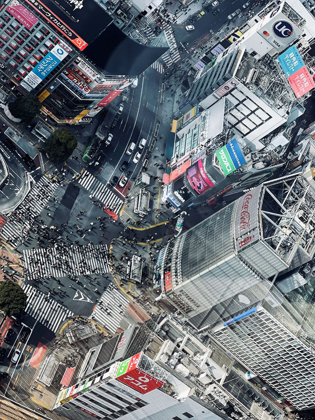 Shibuya Scramble Crossing
