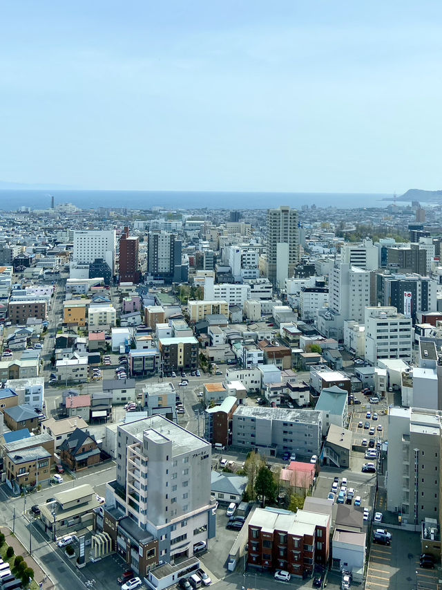 Goryokaku Park: A Star-Shaped Haven