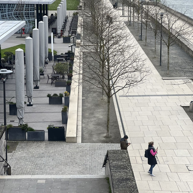 A Cologne Adventure: Love , Locks, and Cobblestones
