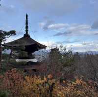 Kyoto was absolutely stunning and wins the hearts of millions