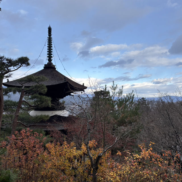 Kyoto was absolutely stunning and wins the hearts of millions