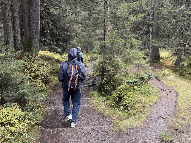 Exploring the Trails of Grindelwald: A Swiss Hiking Paradise