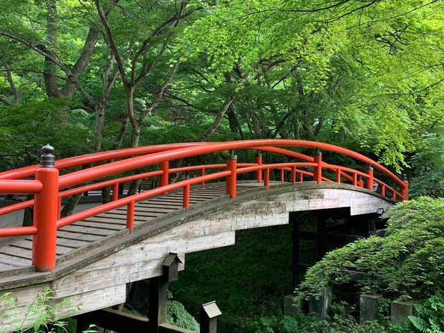 🇯🇵【群馬県】「千と千尋の神隠し」の舞台！積善館！
