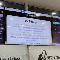 南北韓非軍事區（DMZ）近日體驗