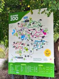 Let's go to Melbourne Zoo 