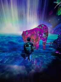 Teamlab Forest Fukuoka 🌳