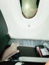 ✈️ Fly with me on Singapore Airlines to Seoul