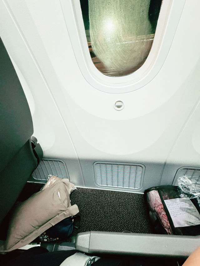 ✈️ Fly with me on Singapore Airlines to Seoul