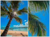 【モーリシャス】透き通る青い海と白い砂浜の絶景ビーチ🏖️