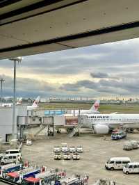 📍JALサクララウンジ/羽田空港